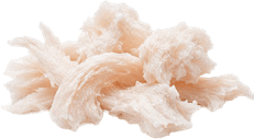 Type II Collagen