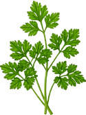 Parsley